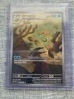 Omanyte