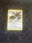 Staraptor