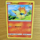 Cyndaquil