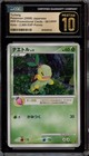 Turtwig