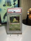 Turtwig