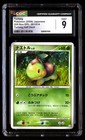 Turtwig