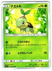 Turtwig