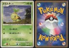 Turtwig