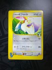 Falkner's Pidgeot