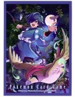 Falkner's Pidgeot