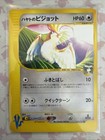 Falkner's Pidgeot