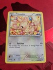 Minccino