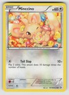 Minccino