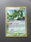 Flygon