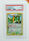 Flygon