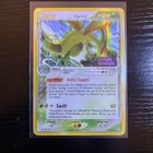 Flygon