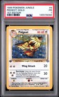 Pidgeot