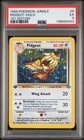 Pidgeot