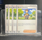 Brock's Scouting