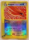 Pidgeot