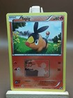 Tepig