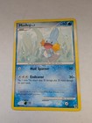 Mudkip