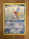 Mudkip