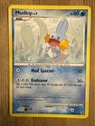 Mudkip