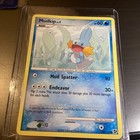 Mudkip