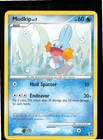 Mudkip