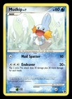 Mudkip