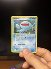 Wooper