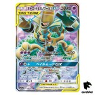 Trevenant & Dusknoir GX