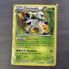 Chesnaught