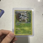 Chesnaught