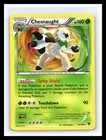 Chesnaught