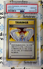 Blaine's Growlithe