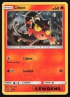 Litten
