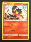Litten