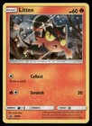 Litten