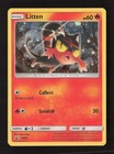 Litten