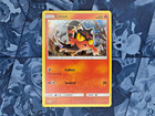Litten