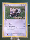 Zigzagoon