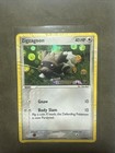 Zigzagoon