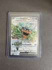 Teal Mask Ogerpon Ex