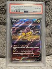 Raikou V