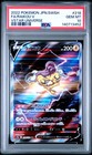 Raikou V