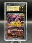 Raikou V