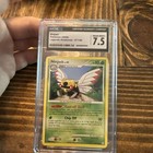 Ninjask