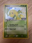 Bayleef