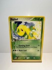 Bayleef