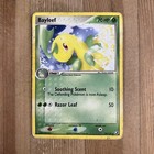 Bayleef