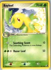 Bayleef