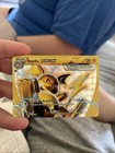 Raichu BREAK